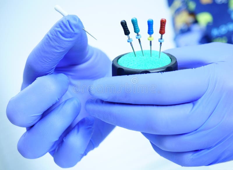 An Endodontist Physician Places the Endodontic Instruments in a Sterile