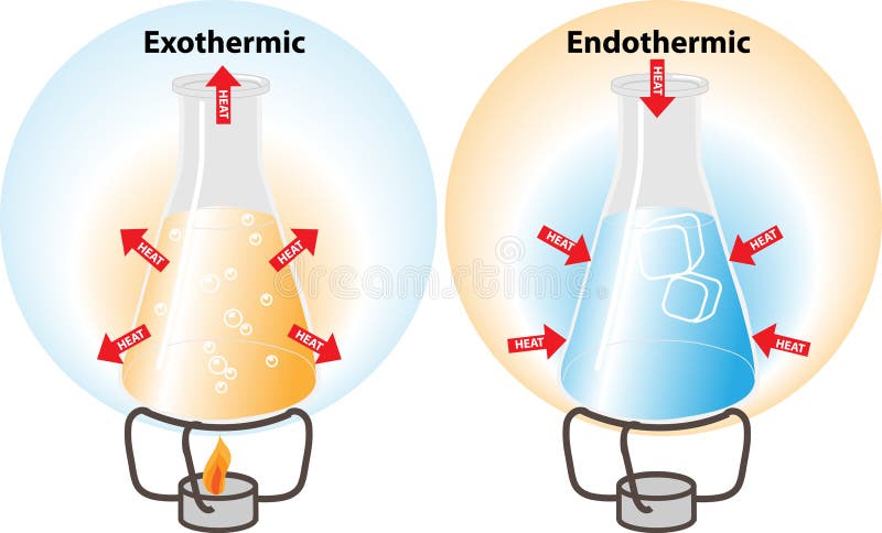 Endothermic and Exothermic Reactions Stock Vector - Illustration of heat, education: 120571725 Endothermic and Exothermic Reactions Stock Vector - Illustration of heat, education: 120571725