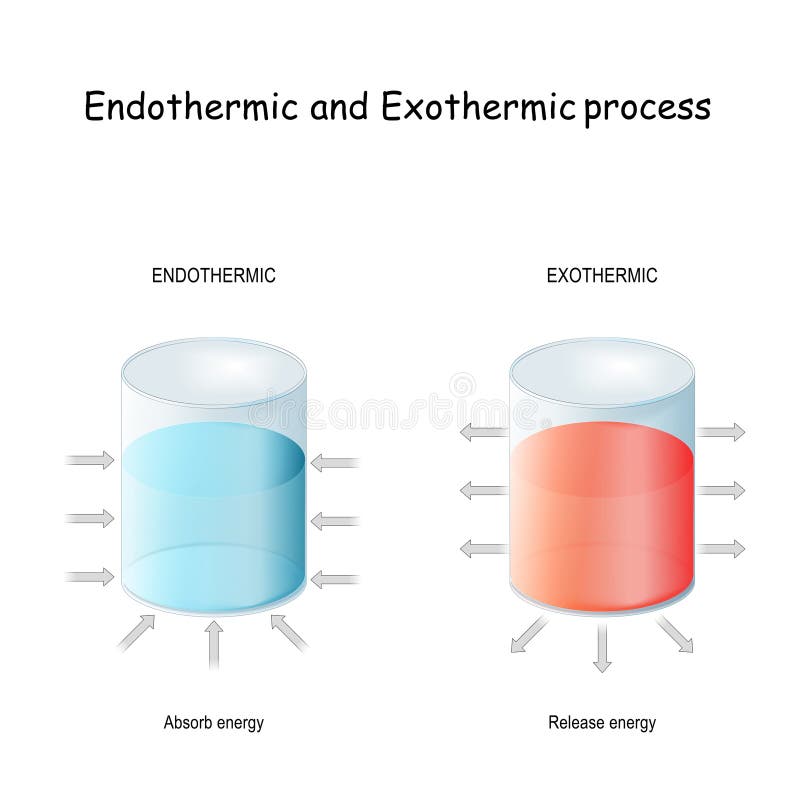 Эндотермический процесс. Exothermic process. Endothermic Reaction and endothermic process. Exothermic and endothermic.