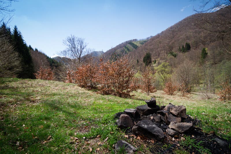 Side view of extinguished campfire place with grass stones and black ashes hill forest in the background. Side view of extinguished campfire place with grass stones and black ashes hill forest in the background