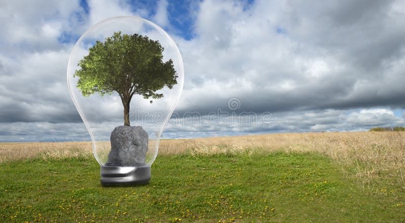 Energia limpa verde, ambiente, natureza, ampola imagem de stock royalty free Energia limpa verde, ambiente, natureza, ampola imagem de stock royalty free
