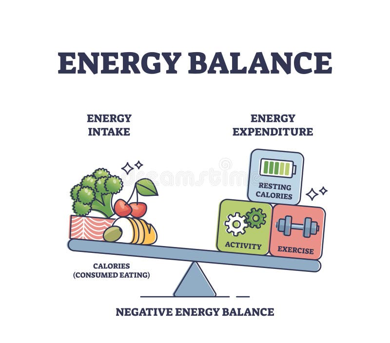 Energy balance with calories intake and daily expenditure outline diagram