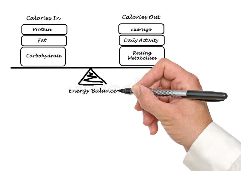 Energy Intake and Energy Expenditure Stock Photo Image of consumed