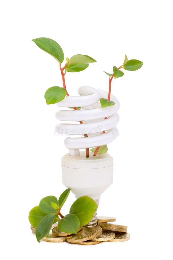 Energy saving lamp with green seedling
