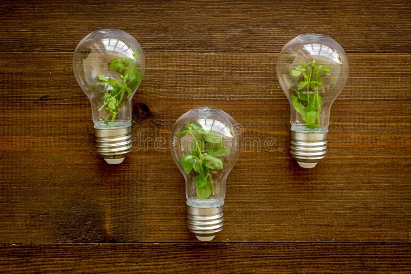 Energy Saving Light Bulb with Green Plant Inside, Top View Stock Image Image of tree, bulb