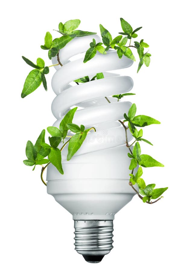 Energy Saving Lightbulb (light Bulb) Stock Photo Image of bright