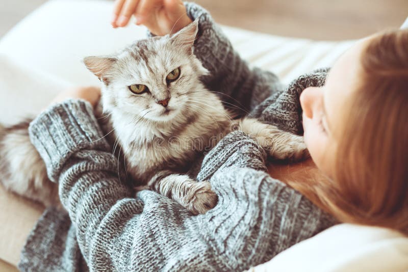 Enfant avec le chat Enfant avec le chat