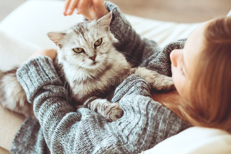 Child playing with cat at home. Child playing with cat at home