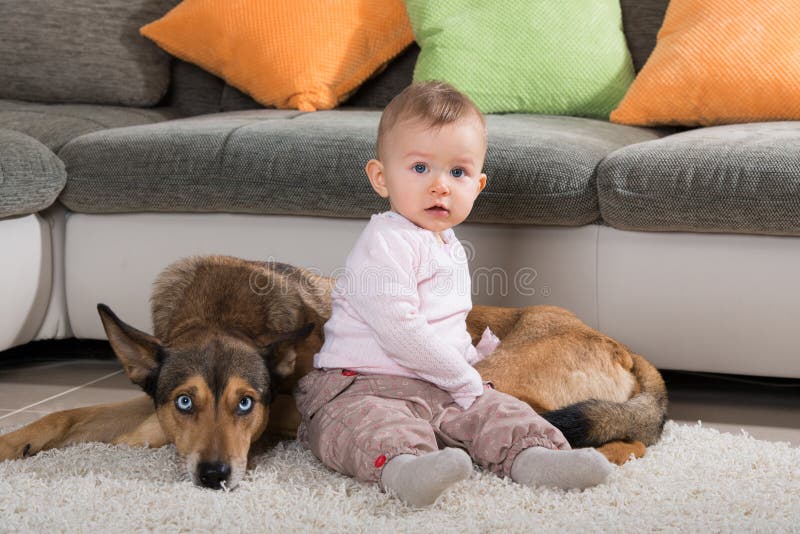 Enfant en bas âge et costaud d'Alaska sur un tapis photos stock