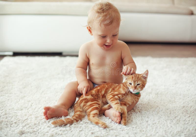 Enfant En Bas âge Jouant Avec Le Chat Image stock Image du européen