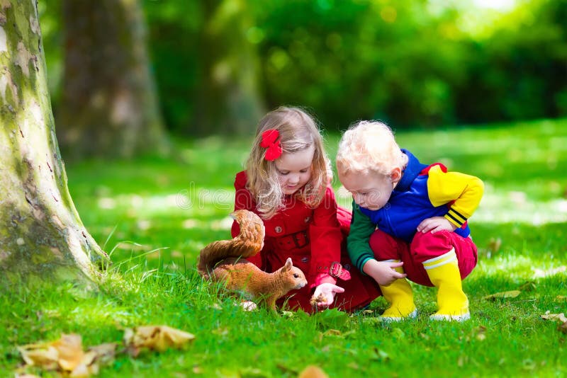 Enfants alimentant l'écureuil en parc d'automne photo libre de droits Enfants alimentant l'écureuil en parc d'automne photo libre de droits