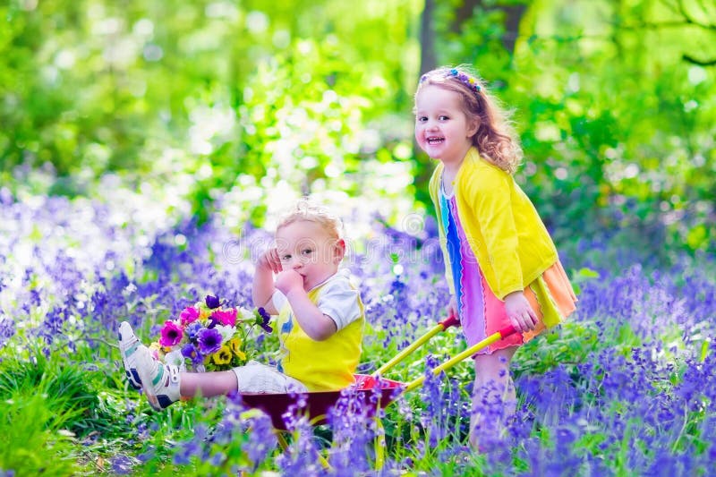 Enfants Dans Un Jardin Avec Des Fleurs De Jacinthe Des Bois Photo stock -  Image du famille, allemagne: 53887594