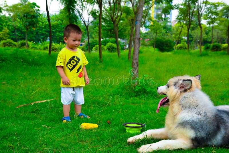 Enfants et Collie Shepherd Dog photo libre de droits Enfants et Collie Shepherd Dog photo libre de droits