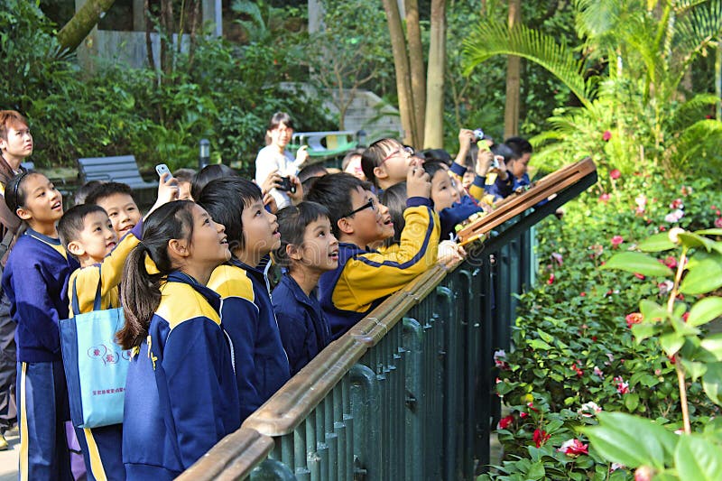 Enfants observant des oiseaux en zoo de Hong Kong images libres de droits Enfants observant des oiseaux en zoo de Hong Kong images libres de droits
