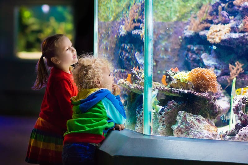 Enfants observant des poissons dans l'aquarium tropical images stock Enfants observant des poissons dans l'aquarium tropical images stock