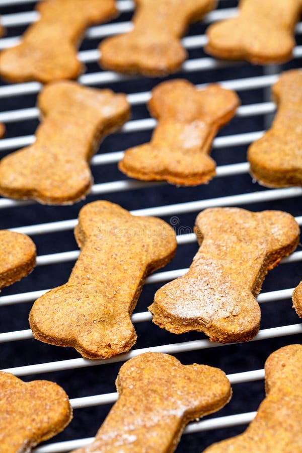 Enfriamiento cocido hecho en casa de las galletas de perro fotografía de archivo Enfriamiento cocido hecho en casa de las galletas de perro fotografía de archivo