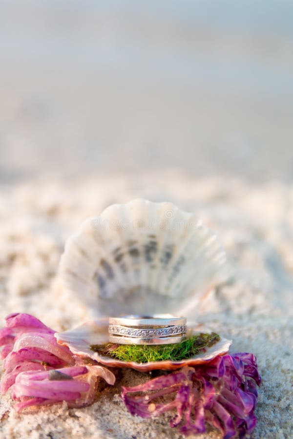 Engagement Ring in Open Seashell on the Ocean Beach. Copy Space. Frame