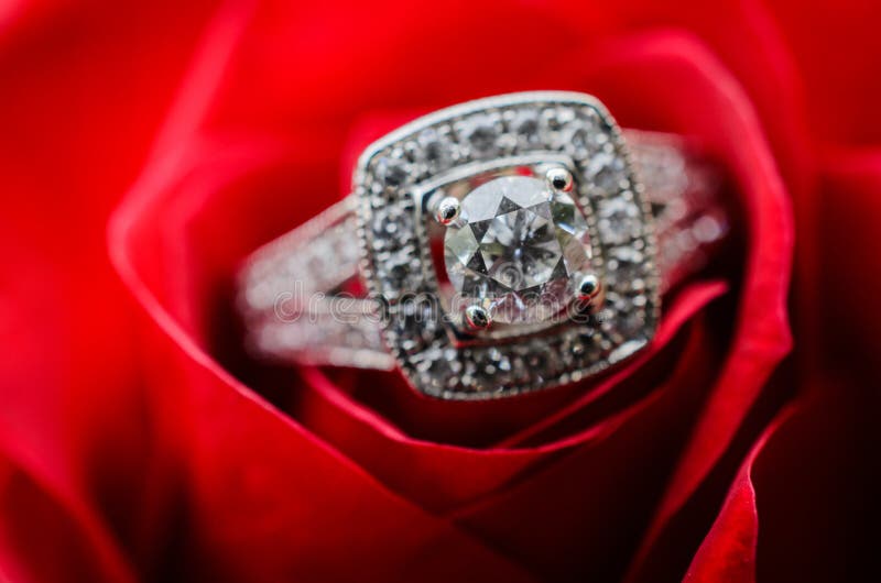 Engagement ring on red rose royalty free stock photo Engagement ring on red rose royalty free stock photo