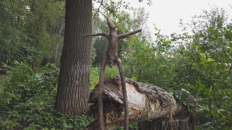 Enganche de madera en forma de ídolo pagano contra el bosque