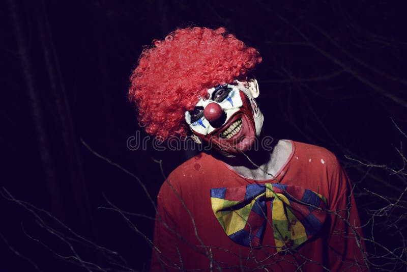 Enge kwade clown in het hout bij nacht
