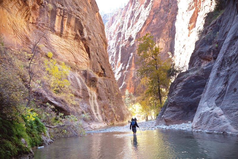 People hiking in Zion narrow with Virgin river ,Zion National park, Utah, Usa. People hiking in Zion narrow with Virgin river ,Zion National park, Utah, Usa.