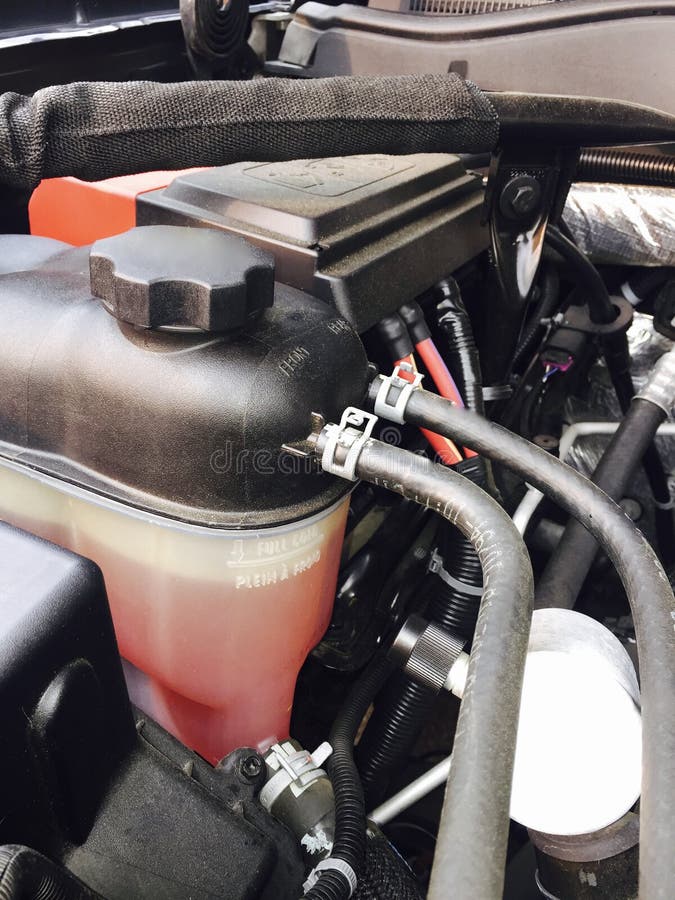 Engine Compartment Power Steering Reservoir royalty free stock images