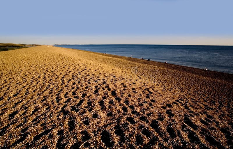 Chesil Beach, Dorset UK Stock Photo, Picture and Royalty Free Image. Image  95298931.