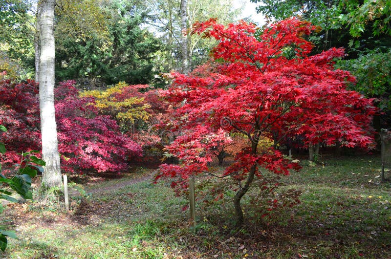 Englischer Herbst lizenzfreies stockfoto Englischer Herbst lizenzfreies stockfoto