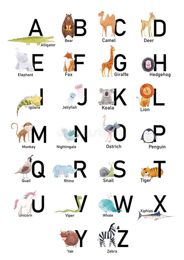 English alphabet with cute watercolor animals for babies, children. Stock illustration.