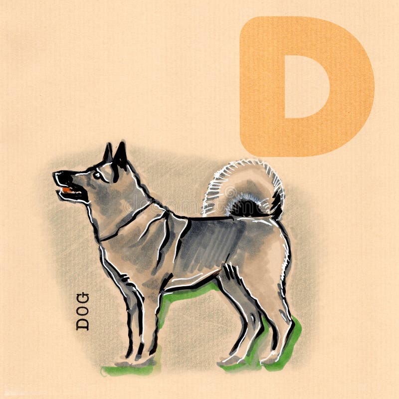 English alphabet , Dog
