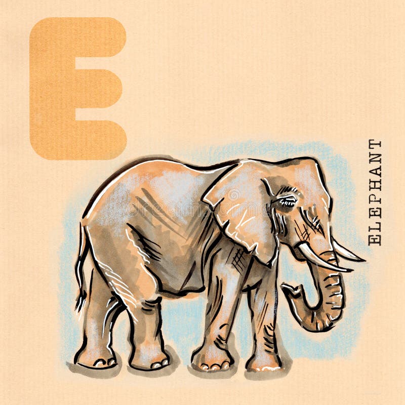 English alphabet , Elephant