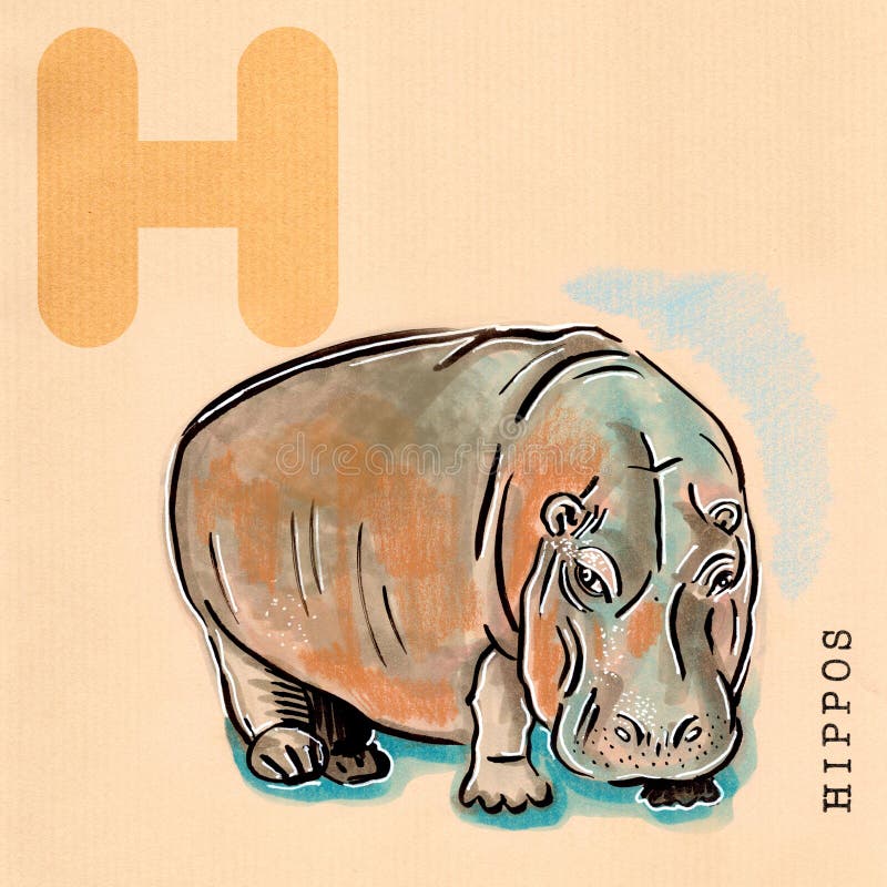 English alphabet , Hippos