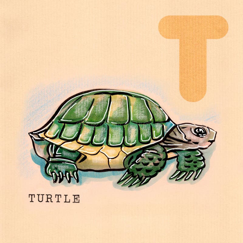 English alphabet , Turtle