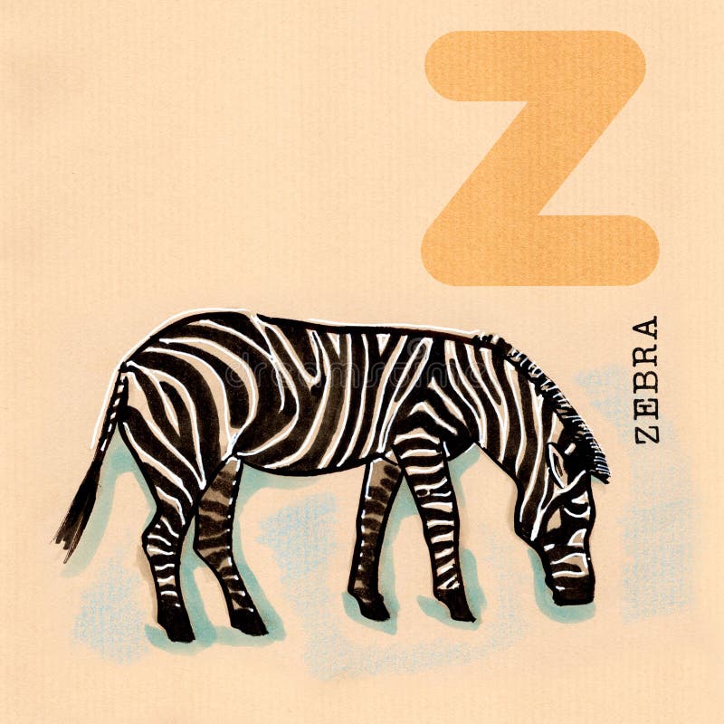 English alphabet , Zebra