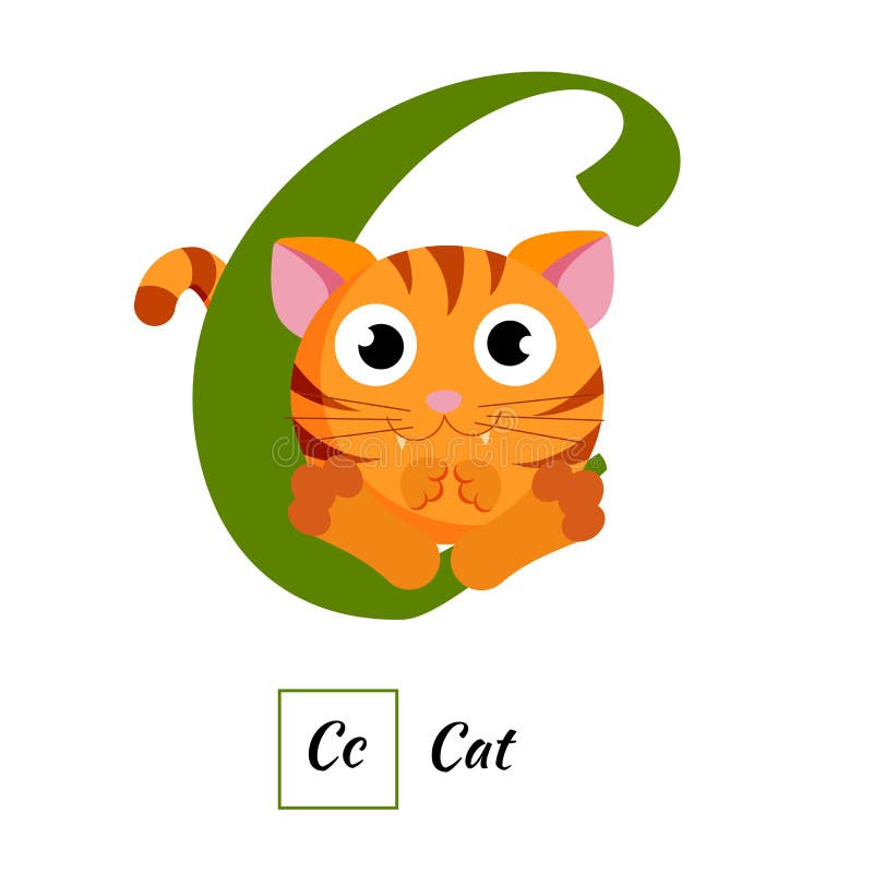 English Animal Alphabet Letter C in Vector Style Stock Illustration
