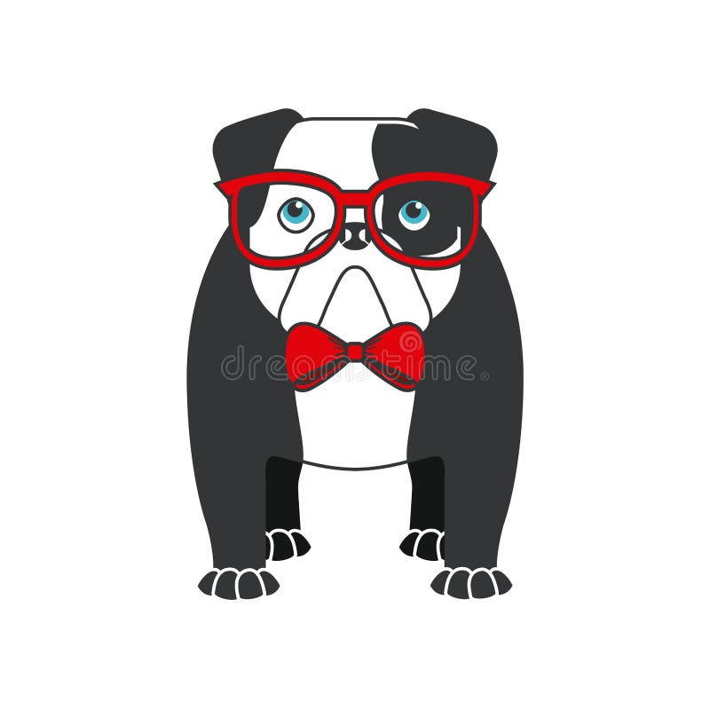 English bulldog design stock illustration. Illustration of purebred