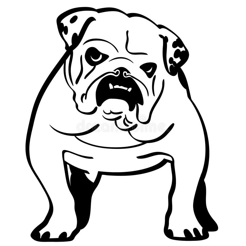 English Bulldog Hand Drawn Crafteroks Svg Free Free Svg File Eps Dxf Vector Logo Silhouette Icon Instant Download Digital Stock Vector Illustration Of Bulldog Drawn 146467270