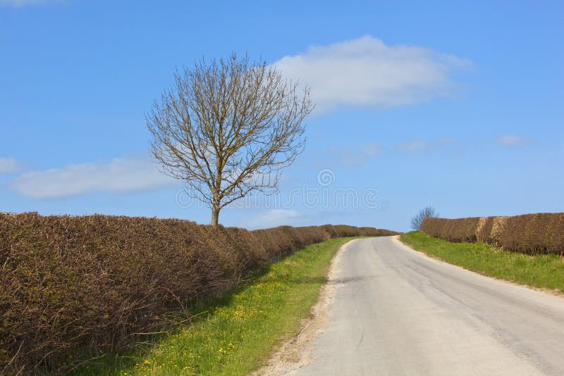 English country road stock image. Image of yorkshire 13915611