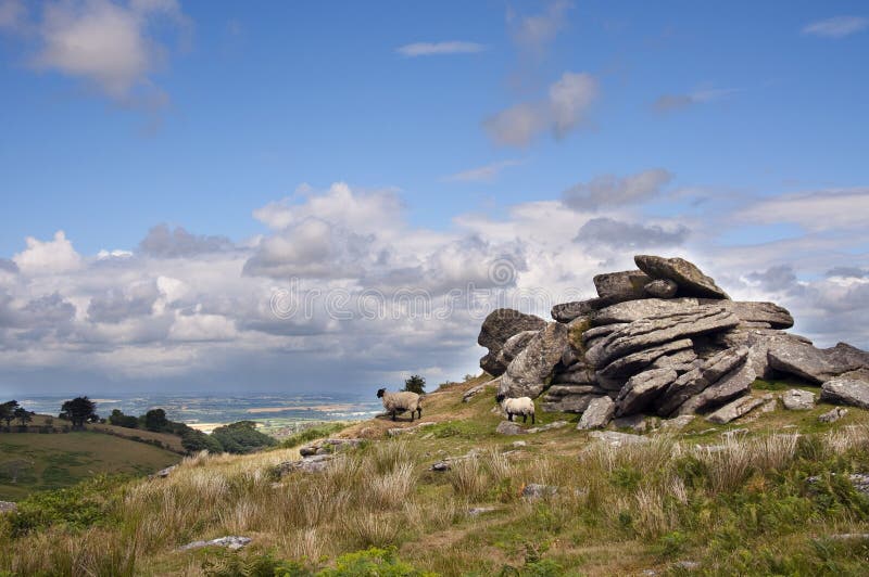 A tor of granite rocks and sheep grazing in countryside of Dartmoor National Park, Devon, South-West England. A tor of granite rocks and sheep grazing in countryside of Dartmoor National Park, Devon, South-West England.
