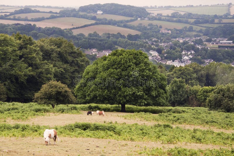 English countryside