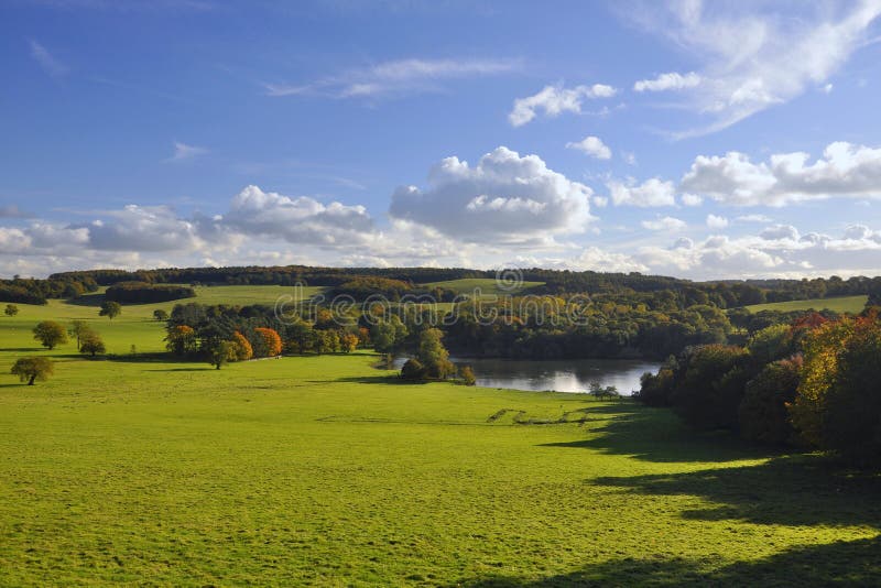 English countryside: green fields, trees and lake