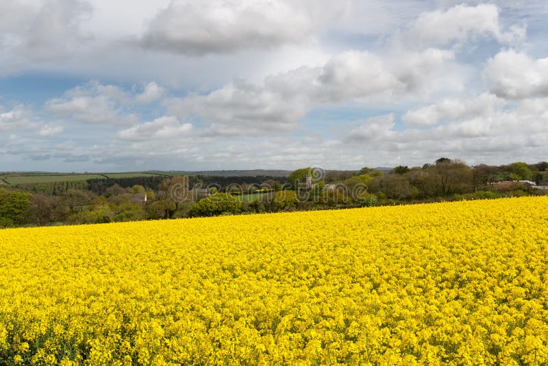 English Countryside in Spring stock photos