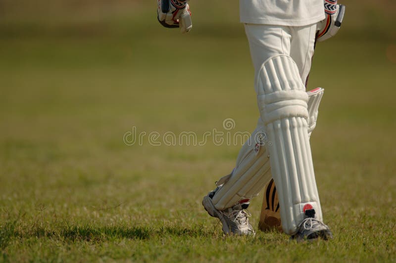 English Cricket