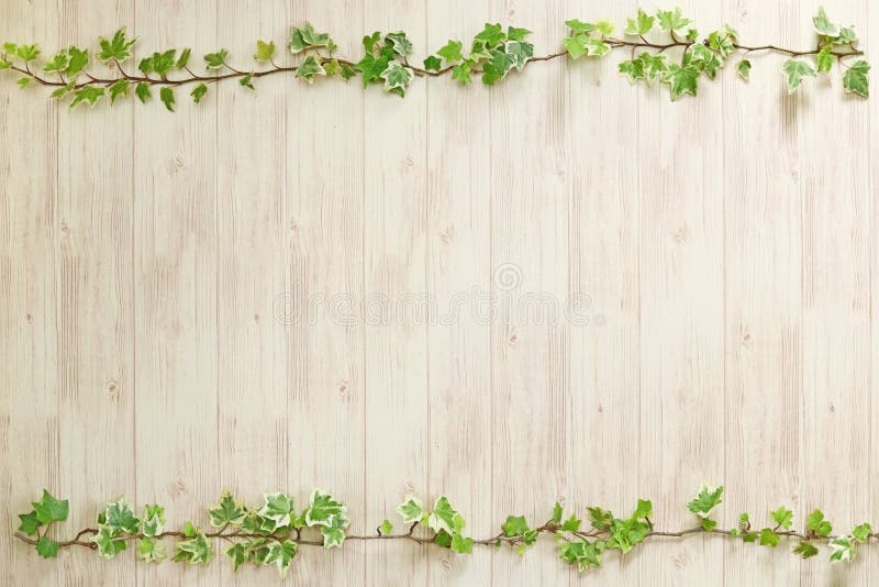 English ivy border frame, background image
