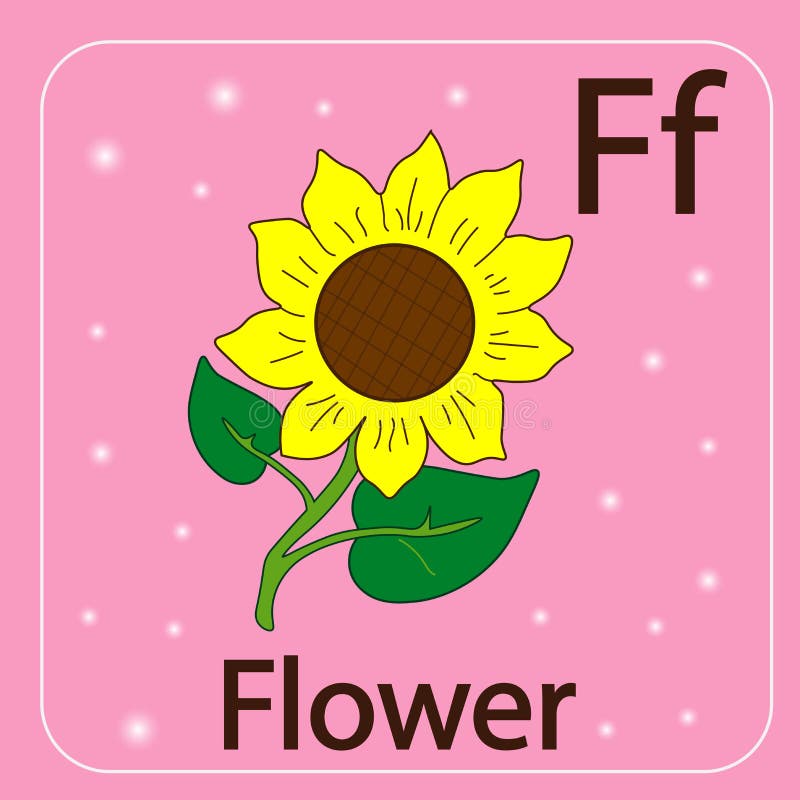 English Letters F and Flower Stock Illustration - Illustration of isolated,  alphabet: 56318461