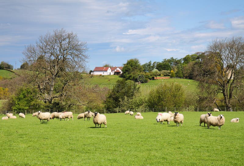 An English Rural Landscape