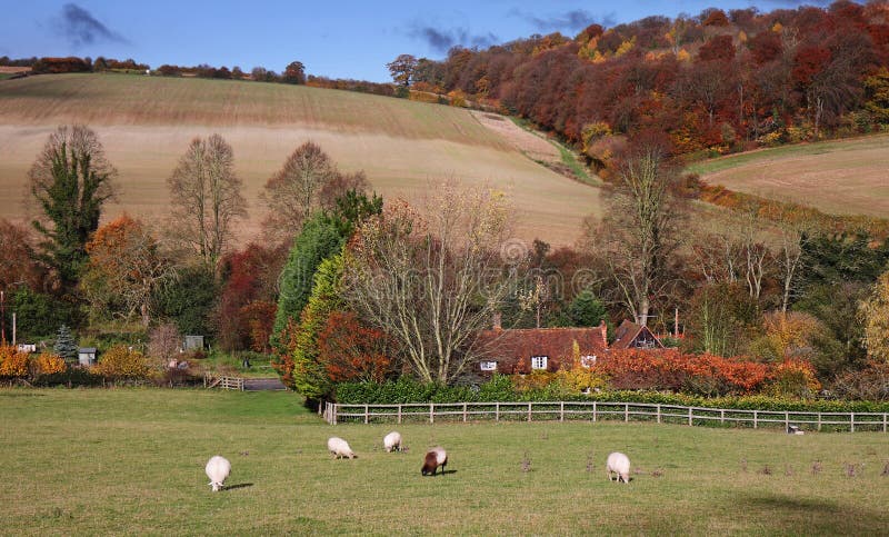 An English Rural Landscape in Autumn