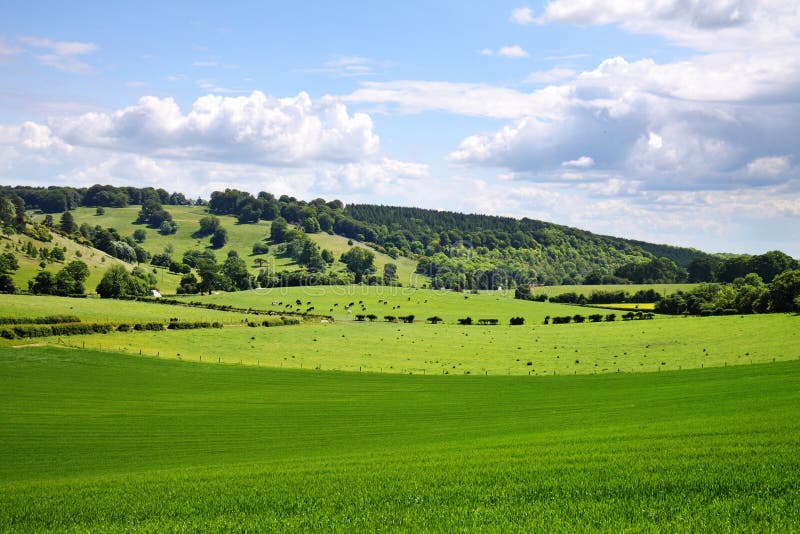 An English Rural Landscape in early Summer