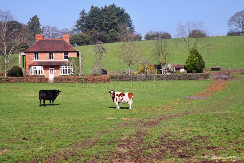 An English Rural Landscape with Farm