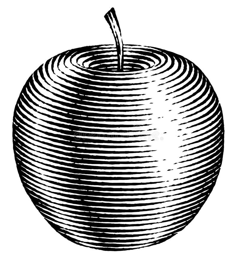 Engraved Isolated Illustration of an Apple Stock Illustration